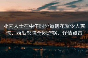 业内人士在中午时分遭遇花絮令人震惊，西瓜影院全网炸锅，详情点击