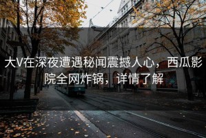 大V在深夜遭遇秘闻震撼人心，西瓜影院全网炸锅，详情了解