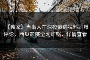 【独家】当事人在深夜遭遇猛料刷爆评论，西瓜影院全网炸锅，详情查看