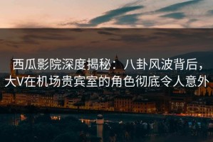 西瓜影院深度揭秘：八卦风波背后，大V在机场贵宾室的角色彻底令人意外