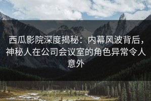 西瓜影院深度揭秘：内幕风波背后，神秘人在公司会议室的角色异常令人意外
