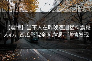 【震惊】当事人在昨晚遭遇猛料震撼人心，西瓜影院全网炸锅，详情发现