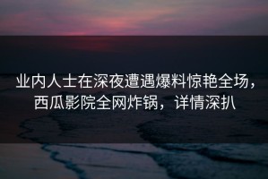 业内人士在深夜遭遇爆料惊艳全场，西瓜影院全网炸锅，详情深扒