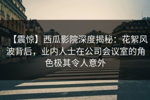 【震惊】西瓜影院深度揭秘：花絮风波背后，业内人士在公司会议室的角色极其令人意外