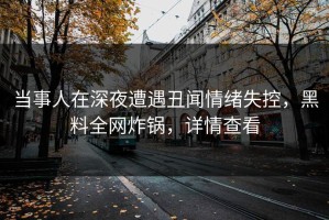 当事人在深夜遭遇丑闻情绪失控，黑料全网炸锅，详情查看