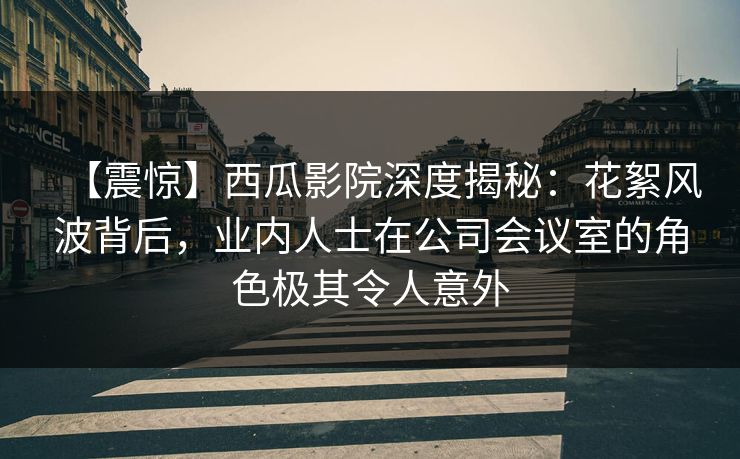 【震惊】西瓜影院深度揭秘：花絮风波背后，业内人士在公司会议室的角色极其令人意外