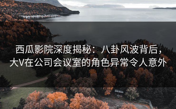 西瓜影院深度揭秘:八卦风波背后,大V在公司会议室的角色异常令人意外 西瓜影院深度揭秘:八卦风波背后,大V在公司会议室的角色异常令人意外