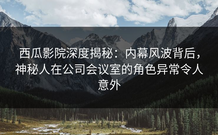 西瓜影院深度揭秘:内幕风波背后,神秘人在公司会议室的角色异常令人意外 西瓜影院深度揭秘:内幕风波背后,神秘人在公司会议室的角色异常令人意外